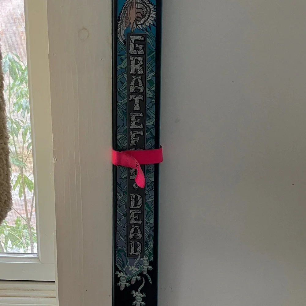 Panther Dream Collectors Item pair of Limited Edition Skis